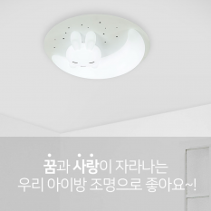 꿈꾸는 토끼 방등 75W (삼색변환+디밍)